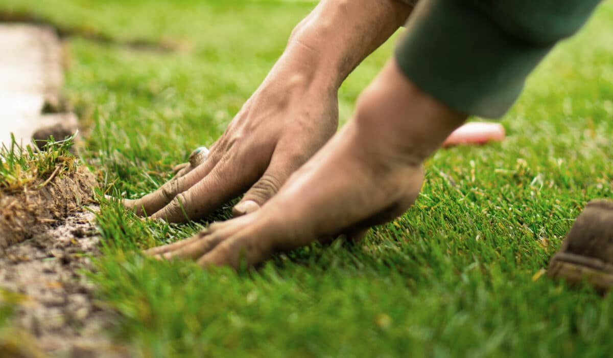 Penzkofer - Lanschaftsbau - Nahaufnahme beim Rasen Verlegen